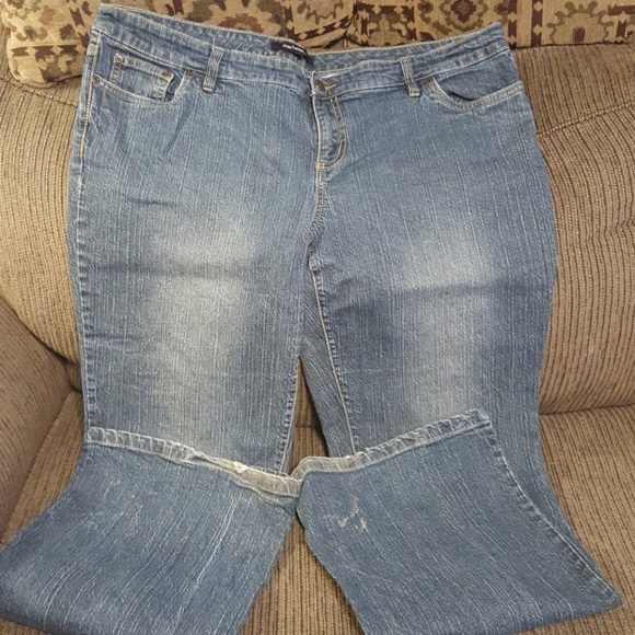 Daisy Fuentes Denim - Daisy Fuentes jeans Daisy Fuentes Denim - Daisy Fuentes jeans